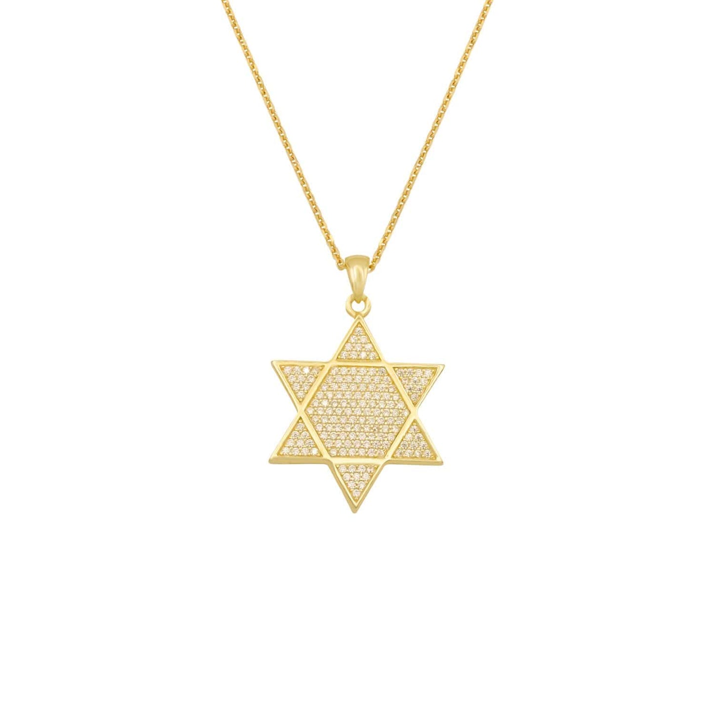 Ari&Lia PAPERCLIP COLLECTION 18K Gold Over Silver Star Of David Necklace with Cubic Zirconia 11021-SS